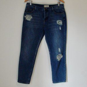 Free People Jeans Anthropologie Distressed Straight Leg High Waist Button Sz 29